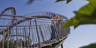 Tiger and Turtle