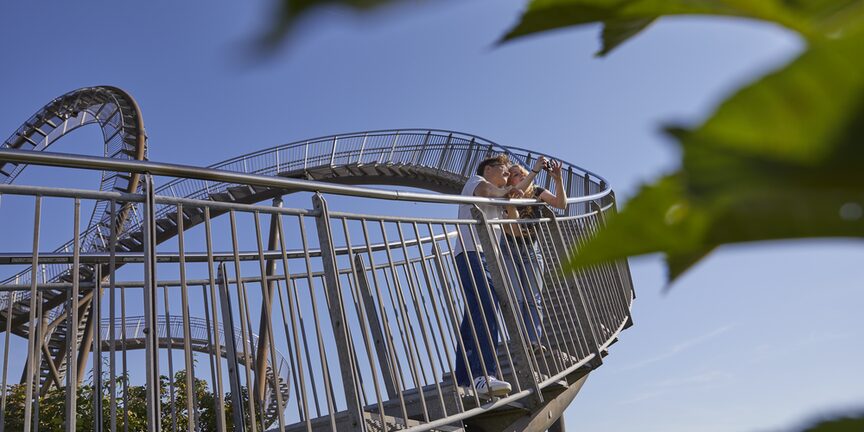 Tiger & Turtle